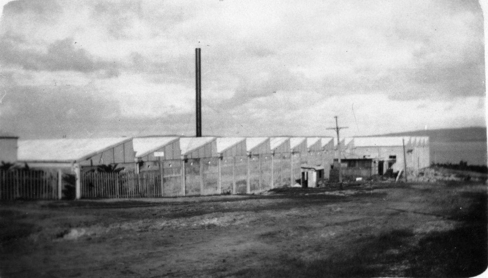 ALBANY WORSTED & WOOLLEN MILLS C1928 Collections WA